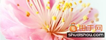 母亲节来临,解析直通车钻展营销热点