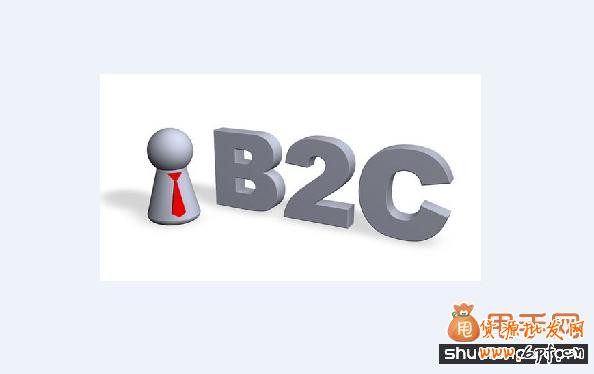 B2C电商怎么突出重围1