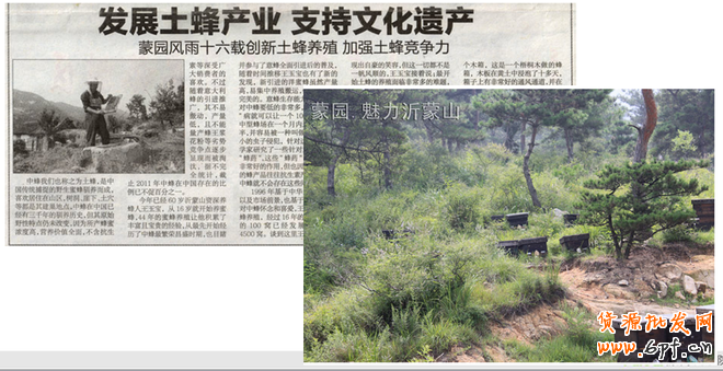 视觉营销是打造爆款的核心要素之一