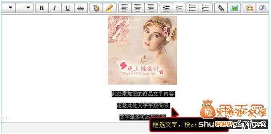 淘宝装修教程:新手卖家如何修改模板中的图片及文字6