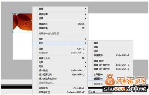 开网店之手把手教你制作宝贝图片14