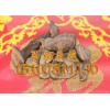 优质原生态野生血芝，【热销】南宁市好用的野生血灵芝