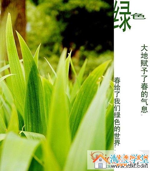 淘宝店铺装修