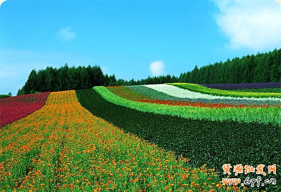 淘宝开店 巧引10倍的流量