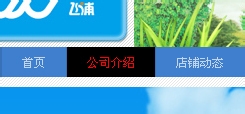 淘宝店铺导航CSS代码使用修改技巧