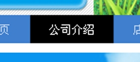 淘宝店铺导航CSS代码使用修改技巧