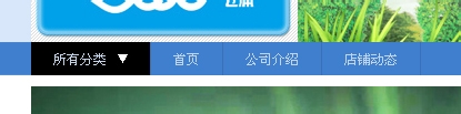 淘宝店铺导航CSS代码使用修改技巧