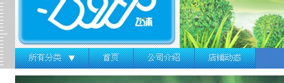 淘宝店铺导航CSS代码使用修改技巧