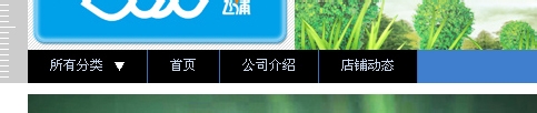 淘宝店铺导航CSS代码使用修改技巧
