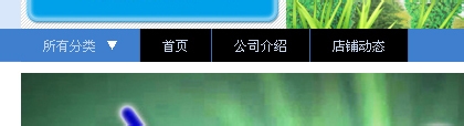 淘宝店铺导航CSS代码使用修改技巧