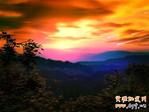 淘宝