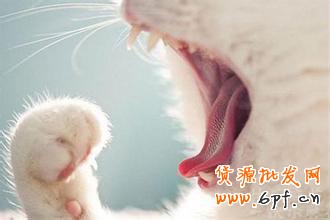 淘宝开店不刷单怎么有高转化？