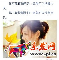 微淘营销