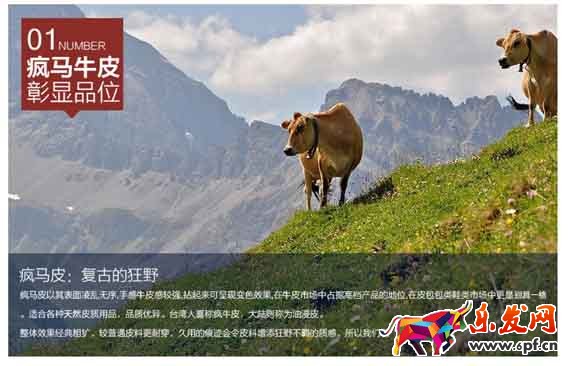 详情页逻辑