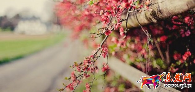 淘宝经验分享