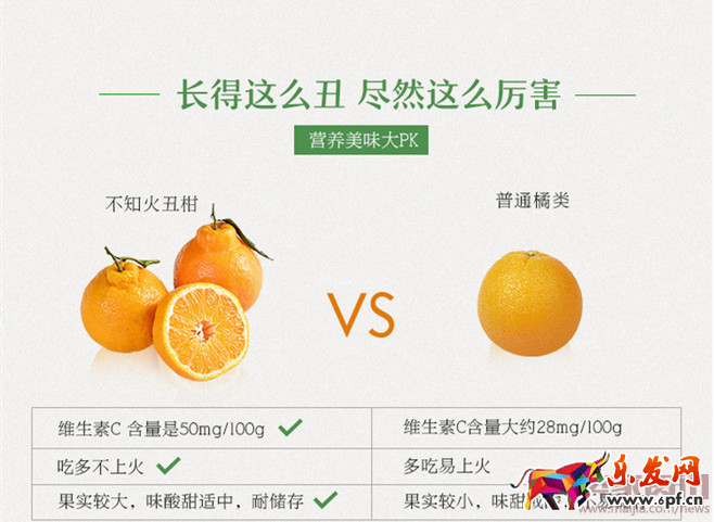 风格定位差异化与高配详情页671.png