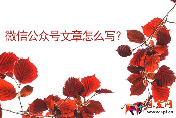 微信公众号文章怎么写