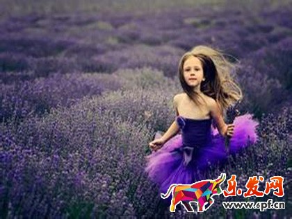 阿芙精油招募微商分销商