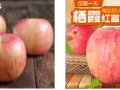 产品差异化