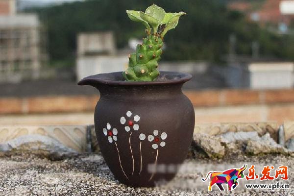 如何作一个图文并茂，引人入胜的详情页?