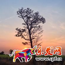现在开淘宝还来得及吗.jpg