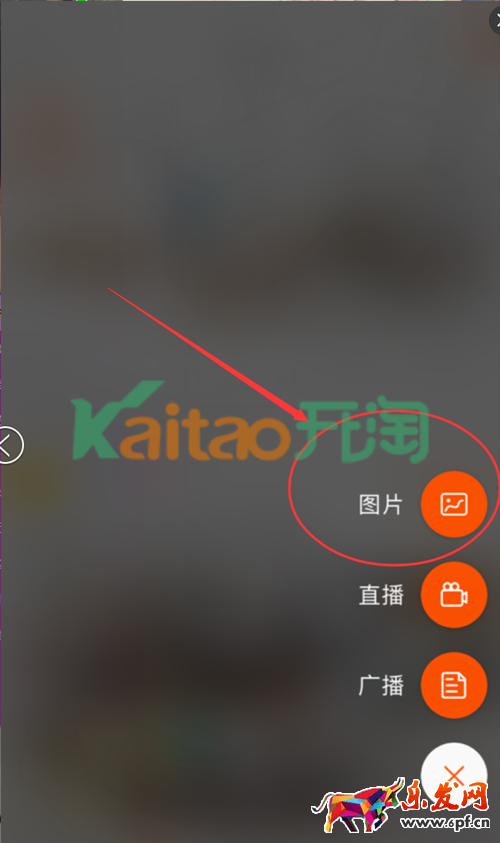 微淘图片