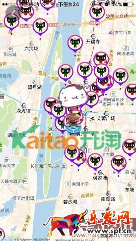 双十一捉猫猫怎么搜索附近的猫? 双十一捉猫猫怎么搜索附近的猫?