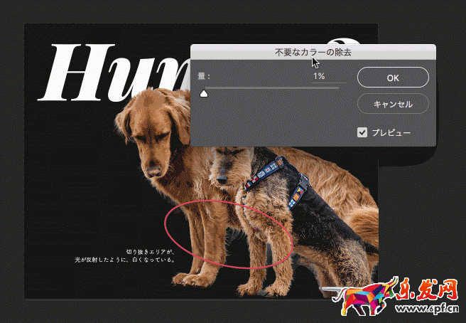 怎么用ps抠图