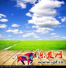 什么是淘宝主图