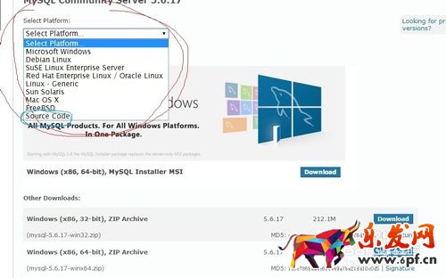 MySQL下载安装、配置与使用（win7x64）
