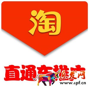 淘宝C店是什么意思