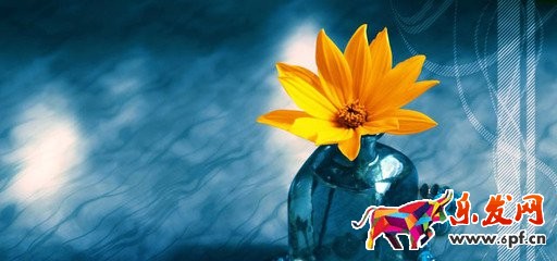 手机淘宝店招图片如何设置