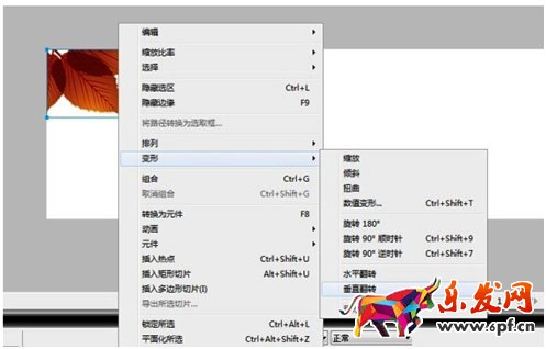 淘宝店铺宝贝图片制作 淘宝店铺宝贝图片制作