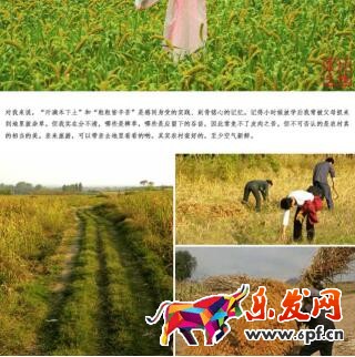 淘宝店经历