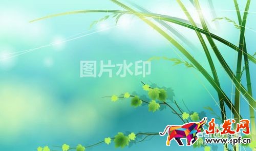微信公众号推广的8个技巧和有效方法