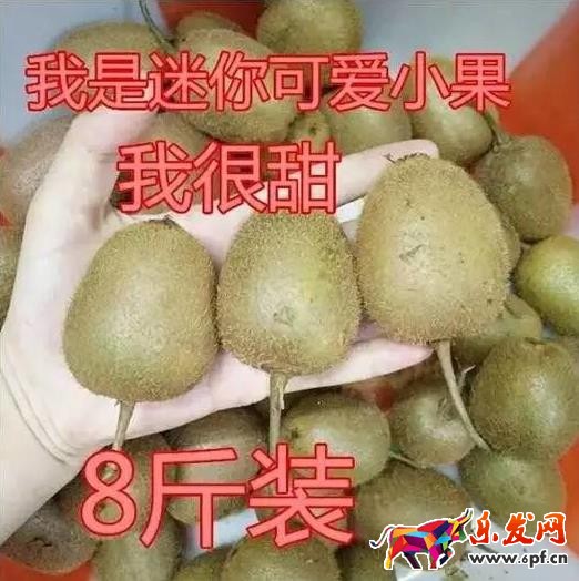 淘宝图片