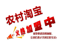 农村淘宝加盟要多少钱?要怎样加入? 农村淘宝加盟要多少钱?要怎样加入?