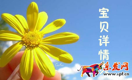 宝贝详情页