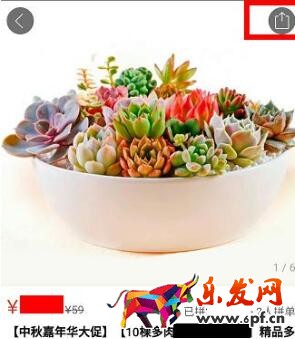 拼多多开店怎么赚钱