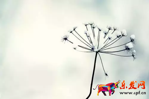 现在开淘宝新店怎么样?要注意什么? 现在开淘宝新店怎么样?要注意什么?