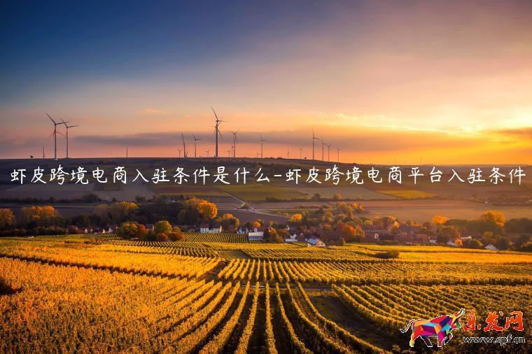 虾皮跨境电商入驻条件是什么-虾皮跨境电商平台入驻条件