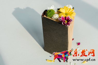 小红书入驻费用是多少(图4)