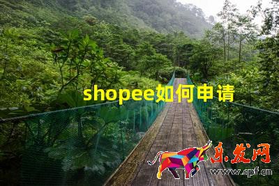 shopee如何申请菲律宾本土店铺?shopee菲律宾开店教程