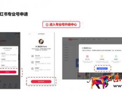 商家如何入驻小红书?