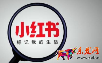 2023小红书店铺入驻条件及收费标准分享