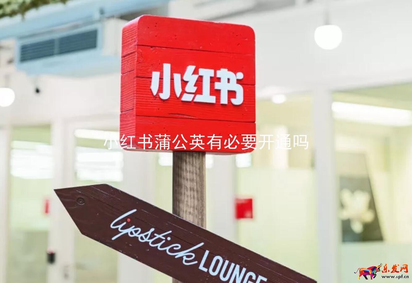 小红书蒲公英有必要开通吗（如何提升小红书推广效果）