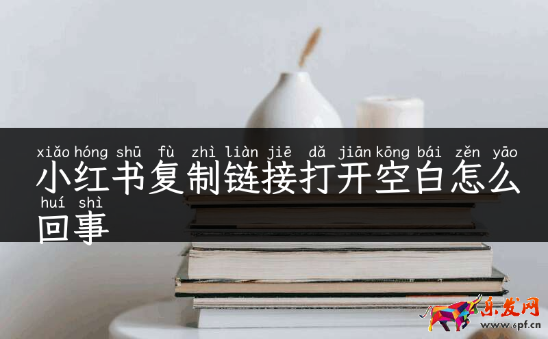 小红书复制链接打开空白怎么回事
